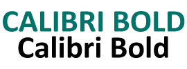 Calibri Bold