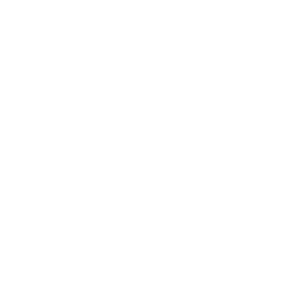 fast shipping