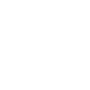 100% customer satisfaction