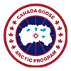 canada goose
