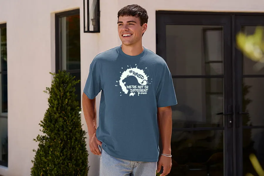next level apparel