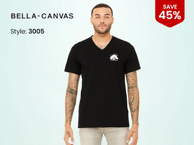 bella canvas 3005